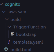 Cognito Build